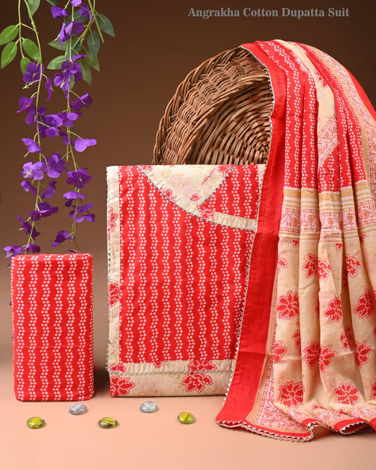 Pure Cotton Suit With Gota Patti Work (8)